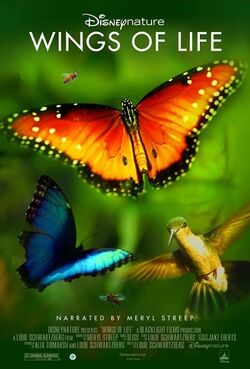 Wings of Life poster
