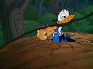 Donald Duck All In A Nutshell (1949)17