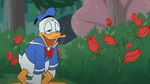 Donald takes a breath from a flower patch