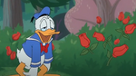 Donald in Flower Patch