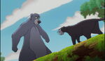 Bagheera tries to stop Baloo from going to the Man Village