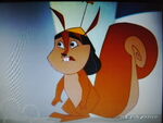 Kronk as a Squirrel