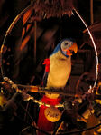 Pierre (The Enchanted Tiki Room (Under New Management))