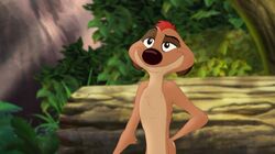 Timon in The Lion Guard.