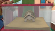 Turtle doc mcstuffins