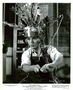 61773168.jpg (80 KB)