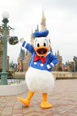 Donald Duck TDL