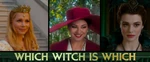 Which Witch Is Which?