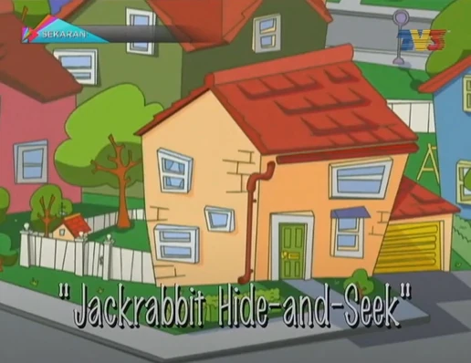 Jackrabbit hide and seek