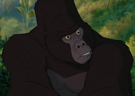 Kerchak