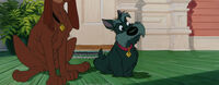 Lady-tramp-disneyscreencaps.com-1332