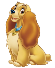 Ladydisney