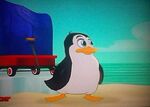 Percy the penguin06