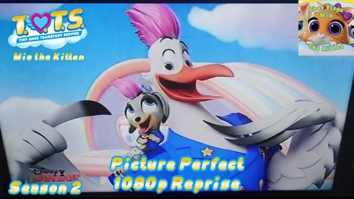 Picture Perfect T.O.T.S.