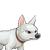 Bolt DHBM.png