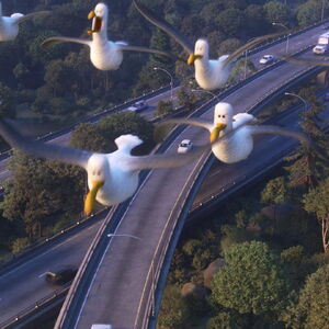 Seagulls Disney Wiki Fandom