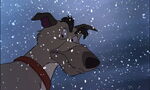 Fox-and-the-hound-disneyscreencaps.com-3860