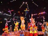 Festival of the Lion King