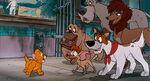 Dodger and the gang finding Oliver's "barking" amusing a bit in Streets of Gold