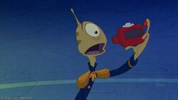 Pleakley Original