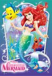 Ariel-disney-princess-37275483-680-1000