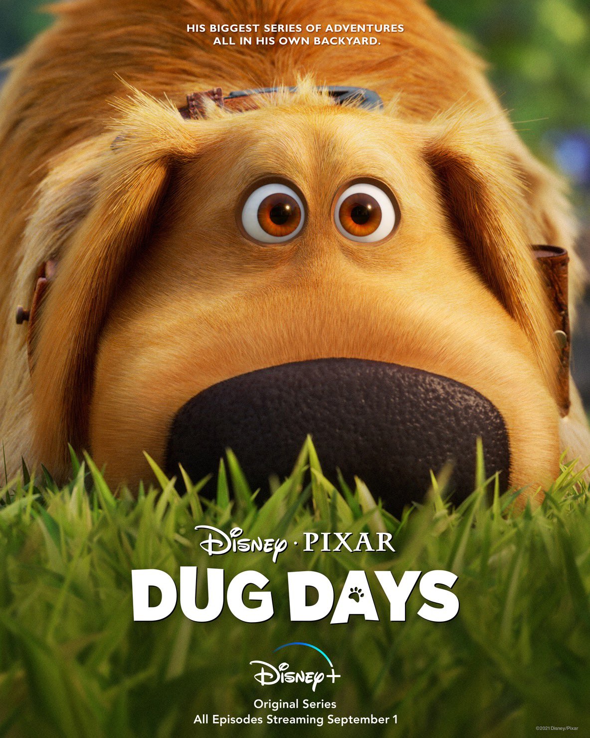 Dug Days Disney Wiki Fandom