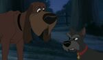 Jock and Trusty (Lady and the Tramp II: Scamp's Adventure)