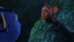 4kfindingnemo-animationscreencaps.com-1971