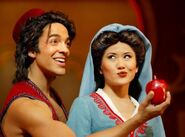 Aladdin Musical Spectacular (Aladdin and Jasmine)