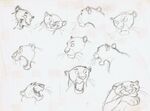 Bagheera sketches by Milt Kahl.