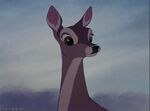 Bambi's mother senses Man coming