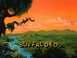 Buffaloed