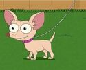 Pinky the Chihuahua (Phineas and Ferb)