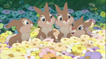 Thumper's sisters (Bambi II)