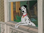 Pongo judging women and their dogs.