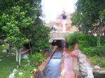 Splash Mountain at Magic Kingdom