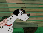 101-dalmatians-disneyscreencaps.com-750