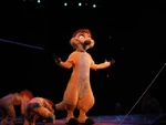 Nuevo disfraz de Timón en Walt Disney World's Festival of The Lion King