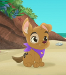 Patch the Pirate Pup (Jake and the Never Land Pirates)