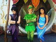 Disney Fairies at Pixie Hollow Vidia Tinker Bell Silvermist