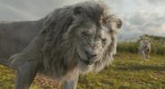Kiros in Mufasa: The Lion King