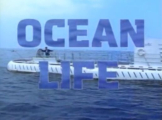 Ocean Life bill nye