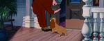 Lady-tramp-disneyscreencaps.com-1463