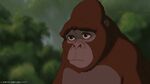 Tarzan-disneyscreencaps.com-2143