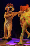 Timón en The Festival of the Lion King