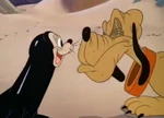 Capture -72.png (350 KB) Salty poking Pluto's nose.