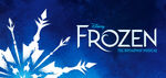 Frozen Musical Banner