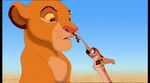 Simba with Timon.