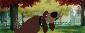 Lady-tramp-disneyscreencaps