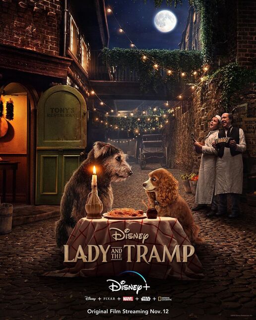 Lady and tramp poster